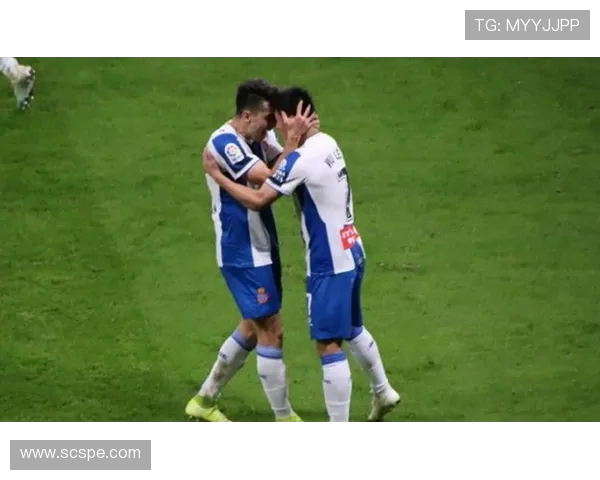 英超球队转会市场分析：2017赛季的转会动态 .