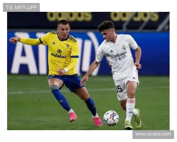 西甲联赛2019赛季冬歇期时间及影响因素 .